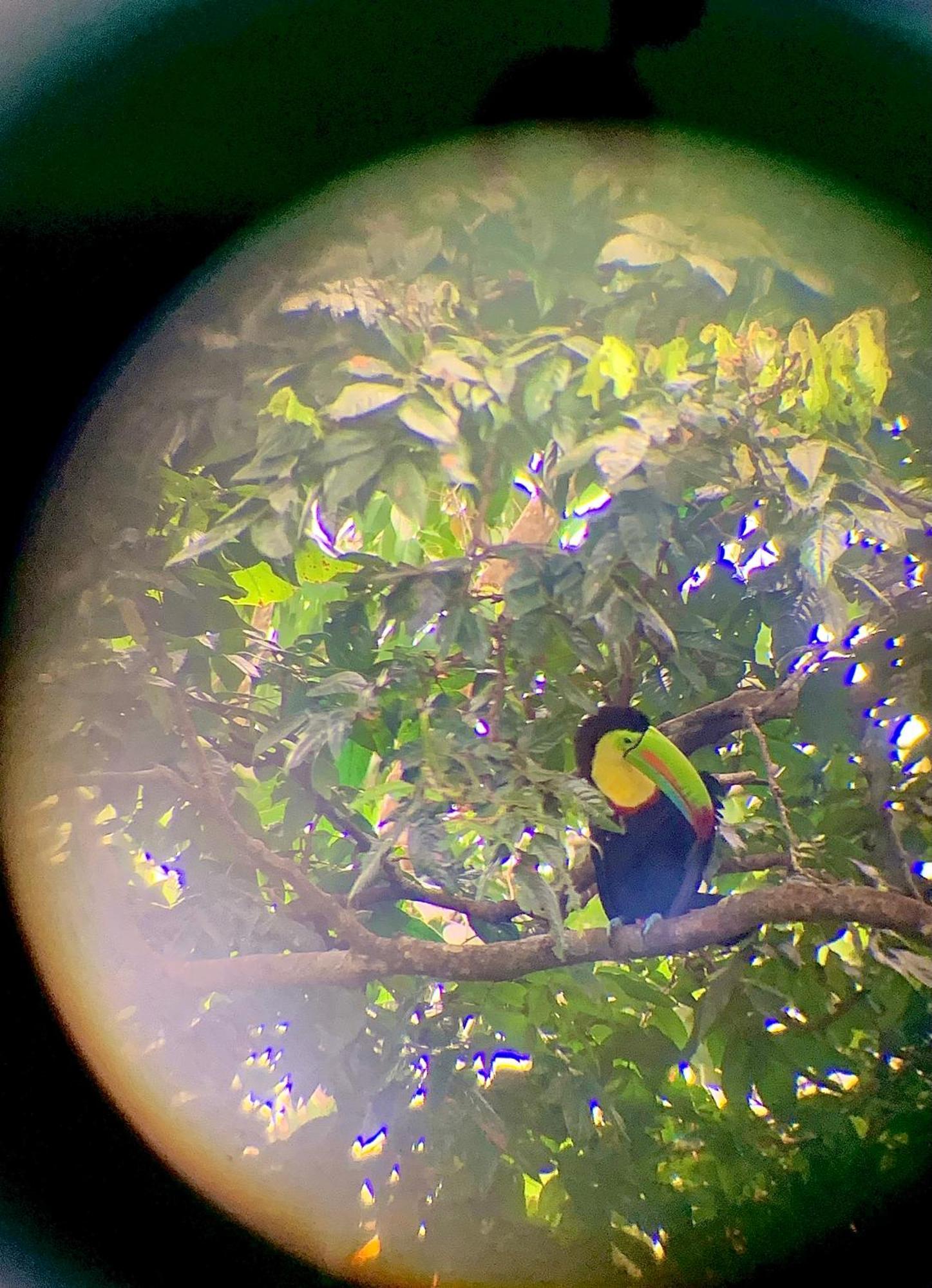 H Et L Apartman Tortuguero Kültér fotó