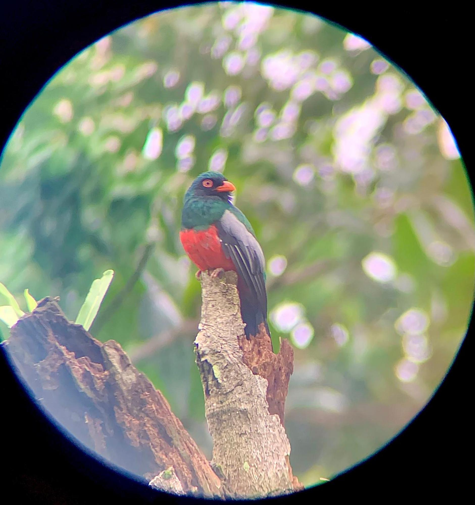 H Et L Apartman Tortuguero Kültér fotó