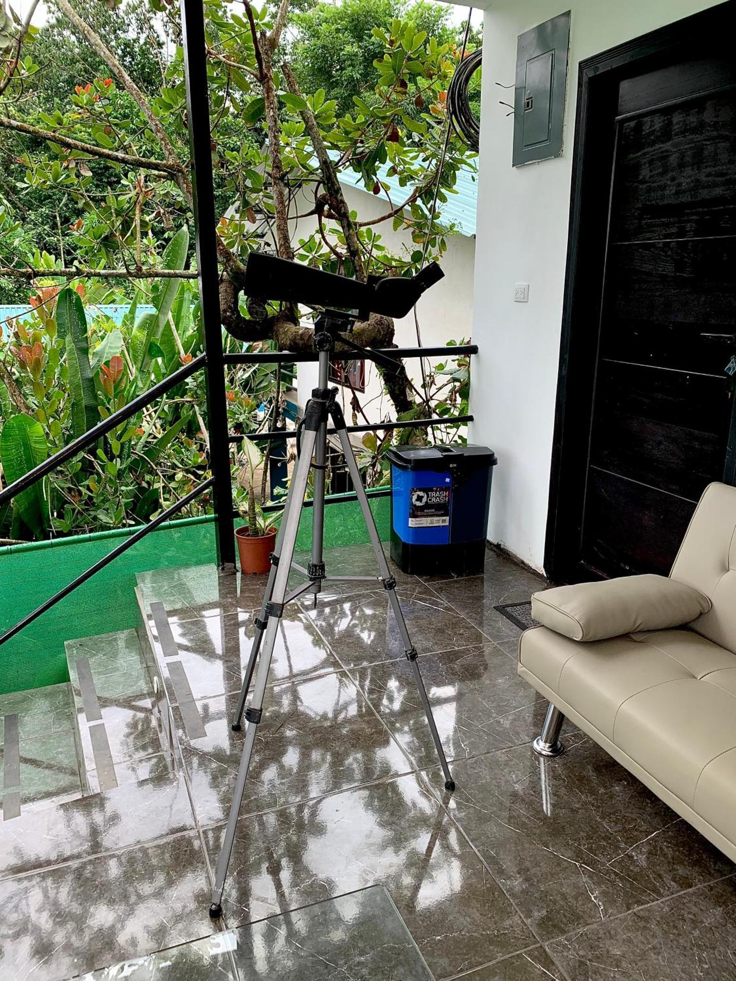 H Et L Apartman Tortuguero Kültér fotó