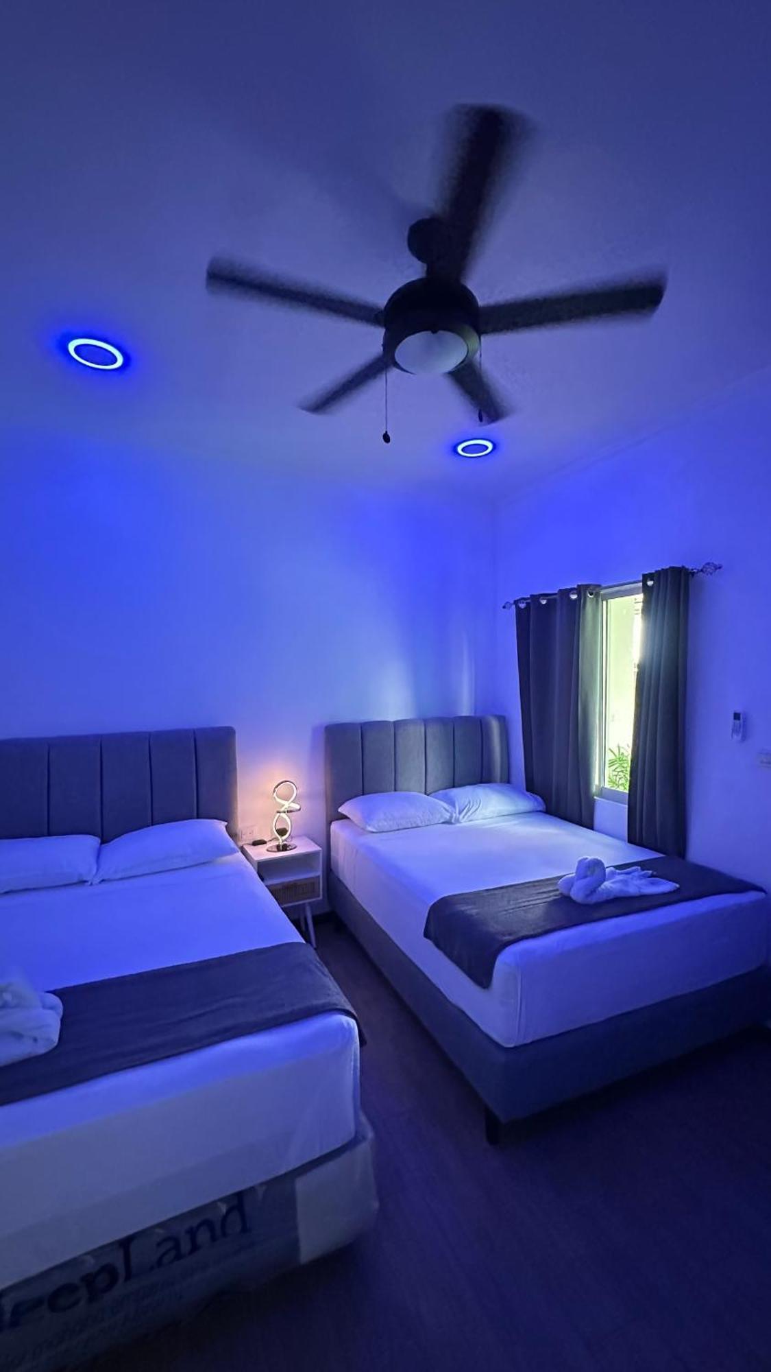 H Et L Apartman Tortuguero Kültér fotó